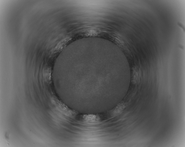 X0000102810230200809021206