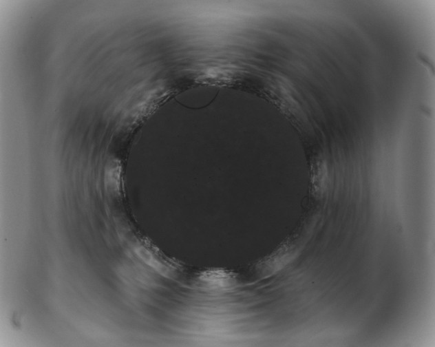 X0000102810231200809021206