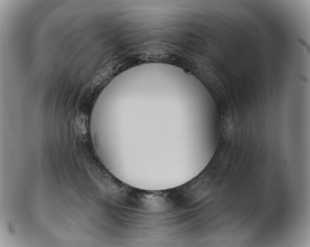 X0000102810232200809021206