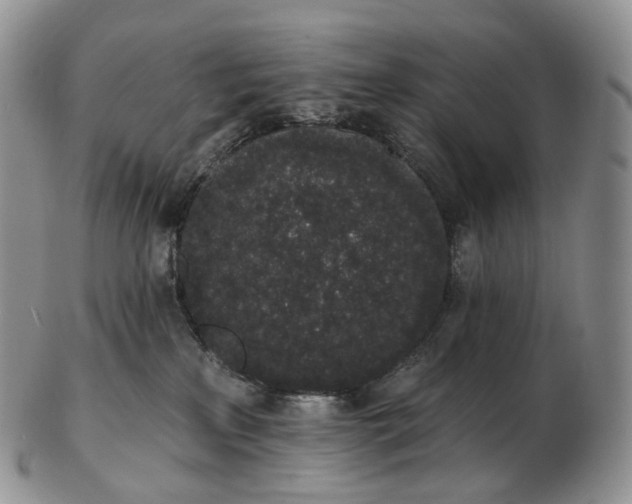 X0000102810233200809021206