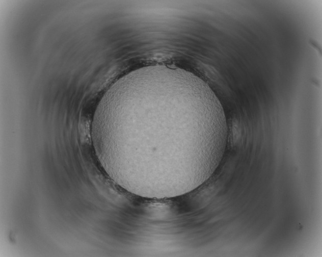 X0000102810236200809021205