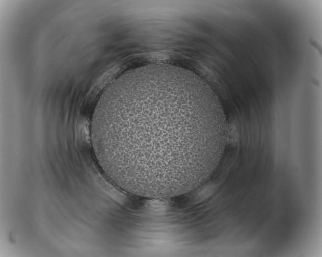 X0000102810238200809021205