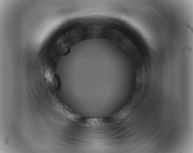 X0000102810239200809021205