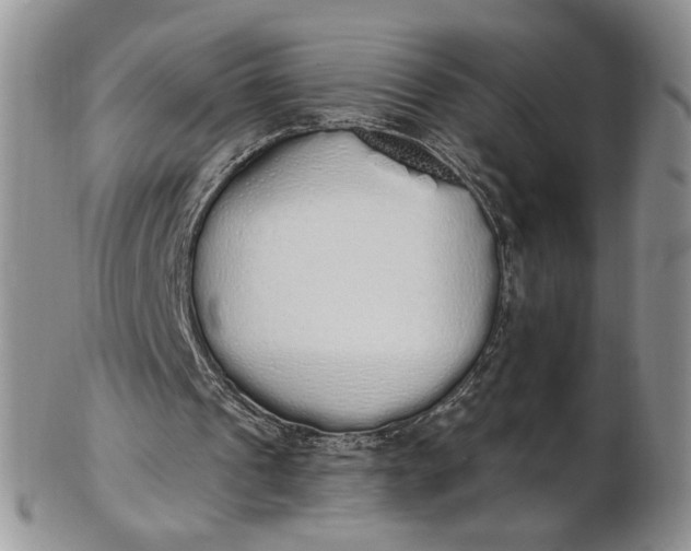 X0000102810241200809021205