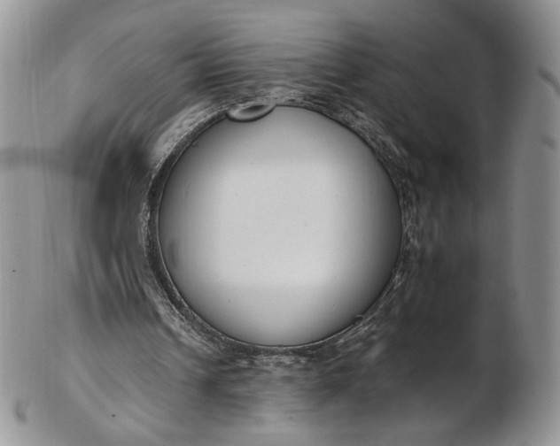 X0000102810242200809021205