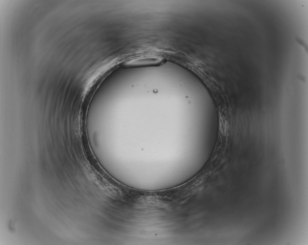 X0000102810244200809021205