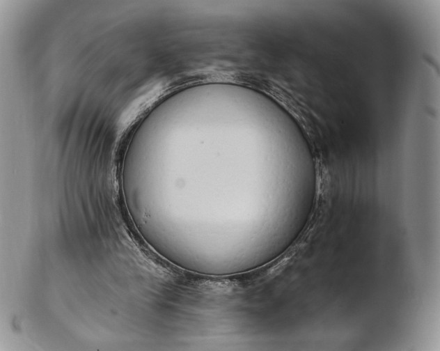 X0000102810245200809021205