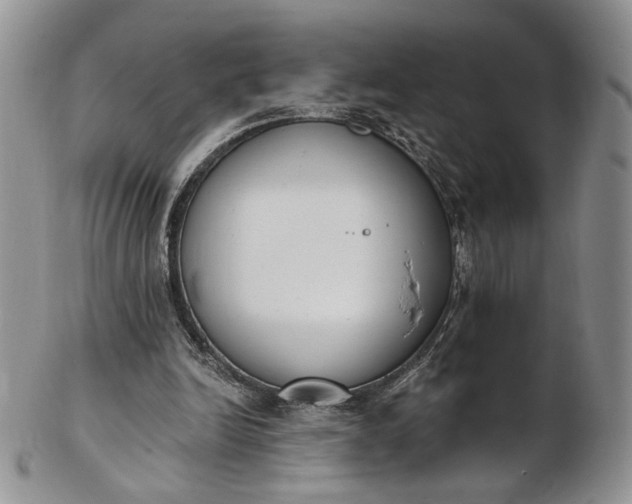 X0000102810246200809021205