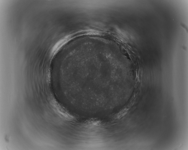 X0000102810247200809021205