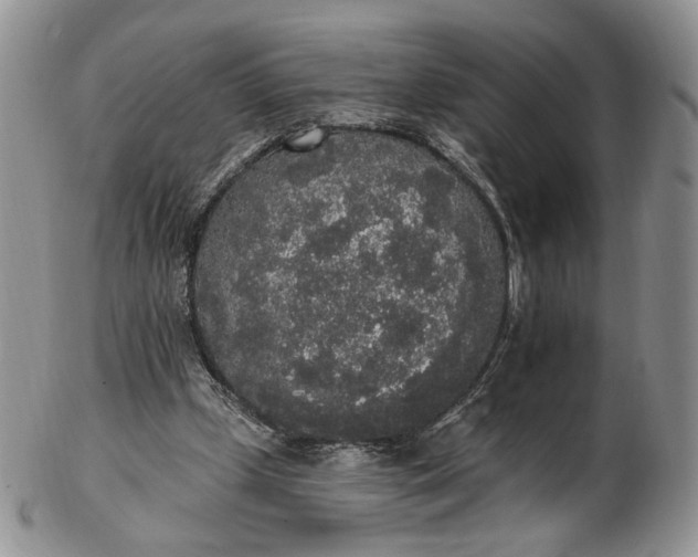 X0000102810249200809021205