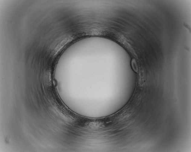 X0000102810251200809021205