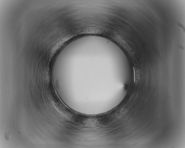 X0000102810252200809021205