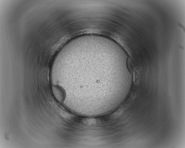 X0000102810253200809021205