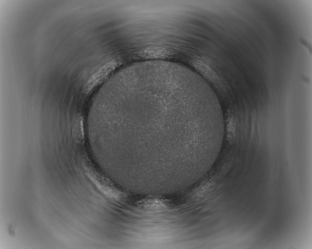 X0000102810254200809021205