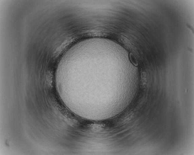 X0000102810255200809021205