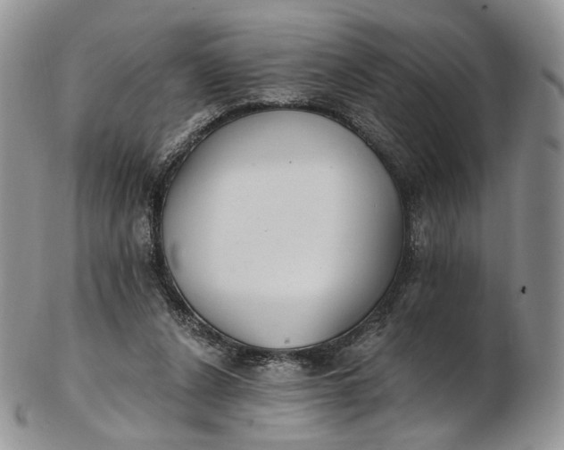 X0000102810256200809021205