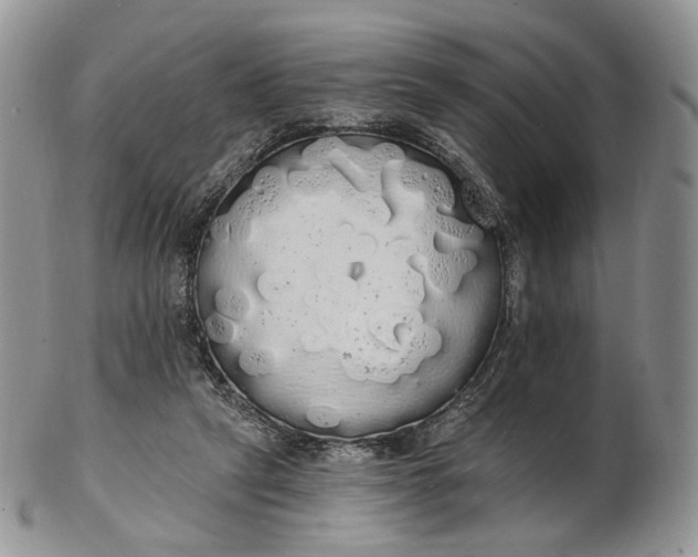 X0000102810257200809021205