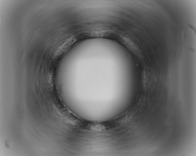 X0000102810258200809021205