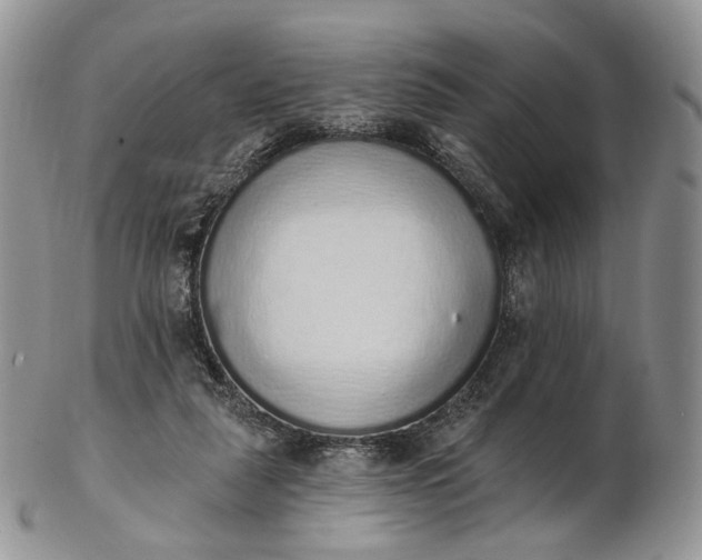 X0000102810259200809021205