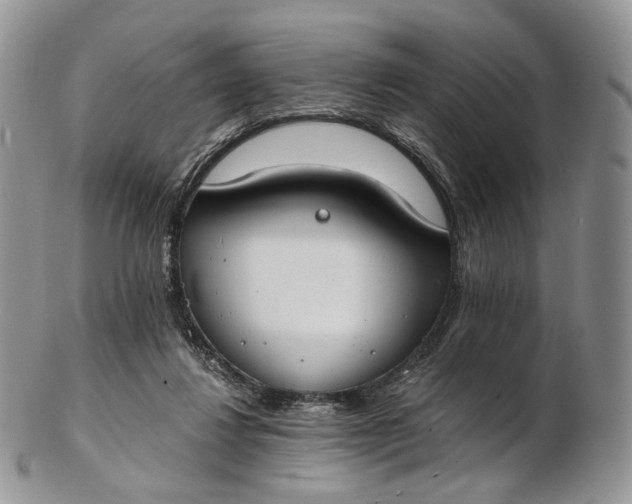 X0000102810260200809021205