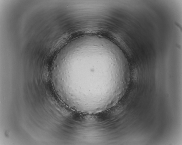 X0000102810261200809021205