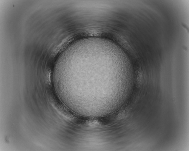 X0000102810262200809021205