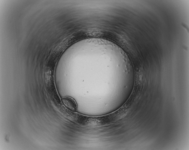 X0000102810263200809021205