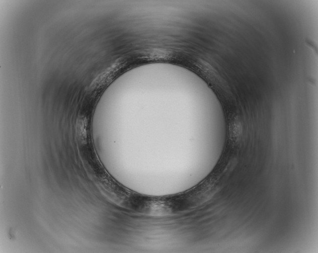 X0000102810264200809021205