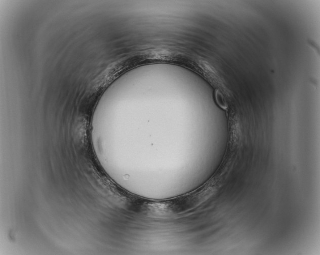 X0000102810265200809021205