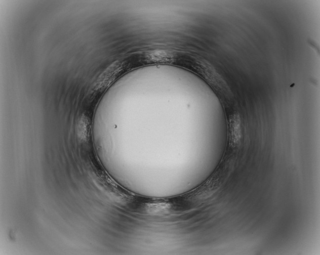 X0000102810266200809021205