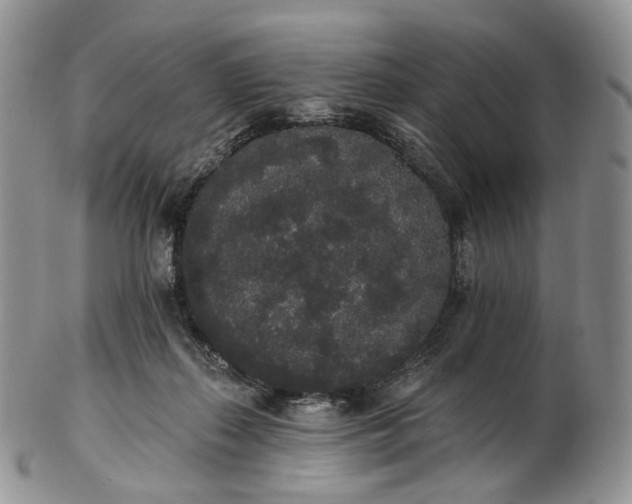 X0000102810267200809021205