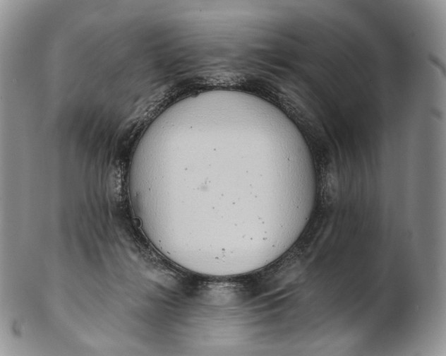 X0000102810268200809021205