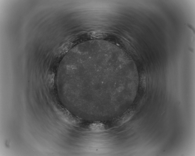 X0000102810271200809021205