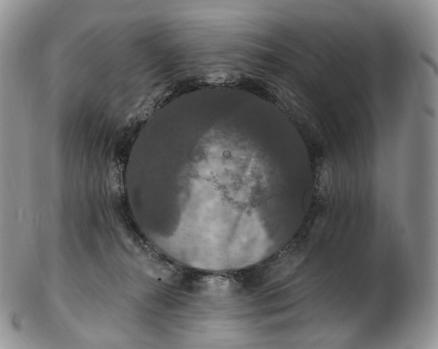 X0000102810272200809021205