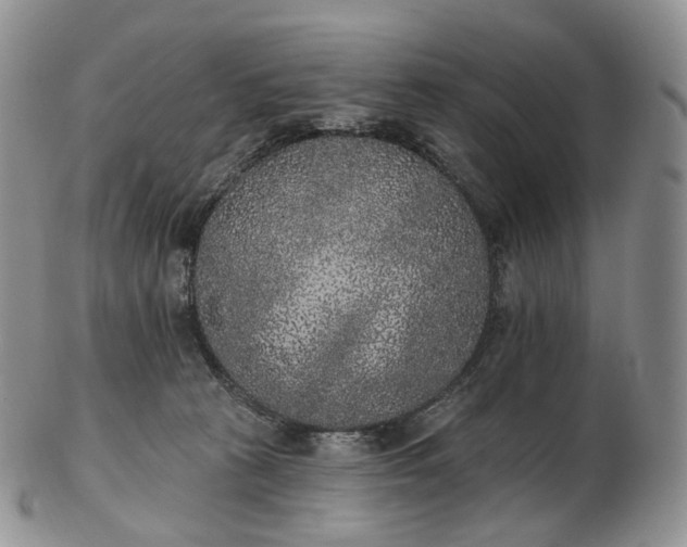 X0000102810273200809021205