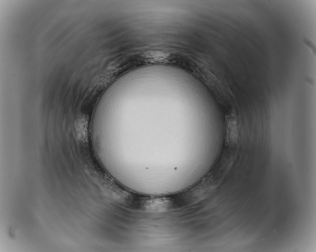 X0000102810274200809021205