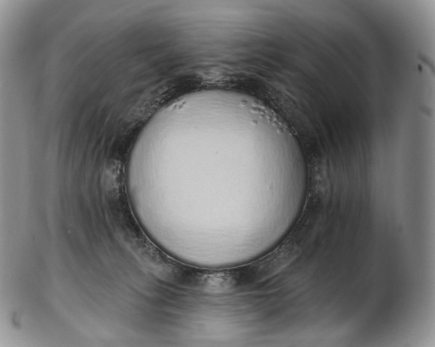 X0000102810275200809021205