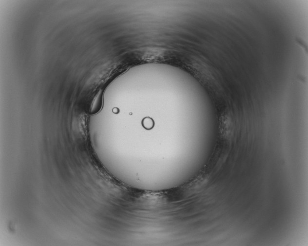 X0000102810280200809021205