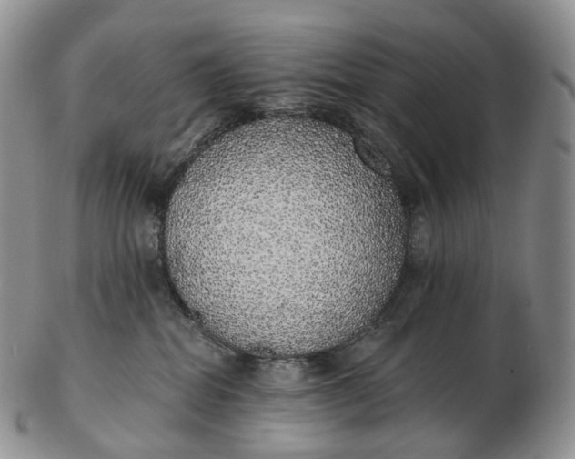 X0000102810282200809021205