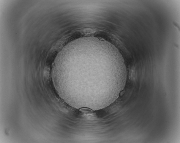 X0000102810283200809021205