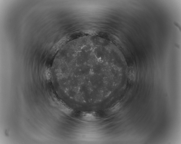 X0000102810285200809021205