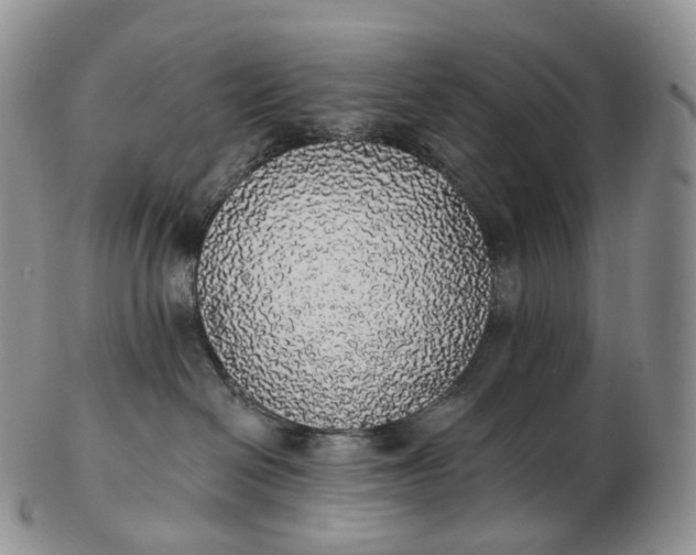 X0000102810286200809021205