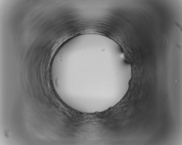 X0000102810289200809021205