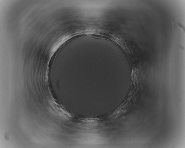 X0000102810292200809021205