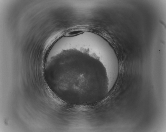 X0000102810293200809021205