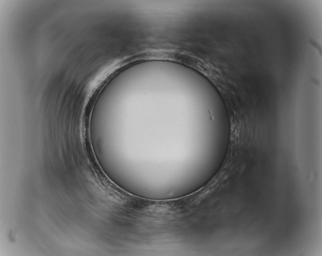 X0000102810294200809021205