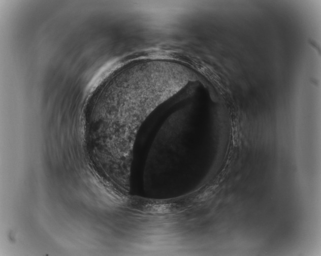 X0000102810295200809021205