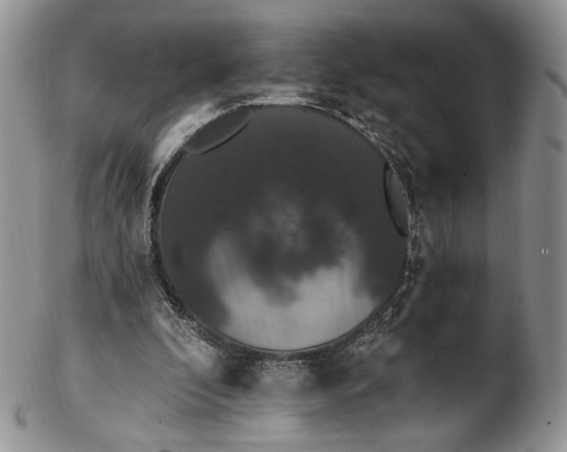 X0000102810296200809021205