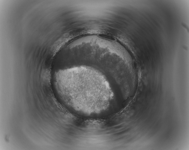 X0000102810297200809021205