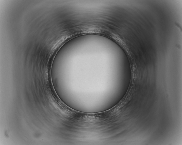 X0000102810298200809021205